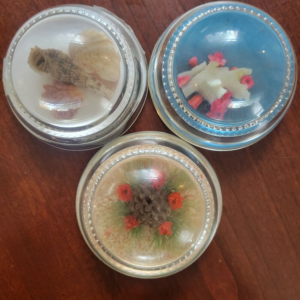 Vintage Lucite Paperweight Set With Natural Shells Flowers & Pinecone In Clear D